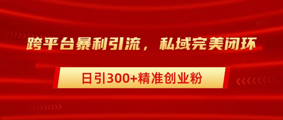 跨平台暴力引流，私域完美闭环，日引300+精准创业粉-网赚资源网
