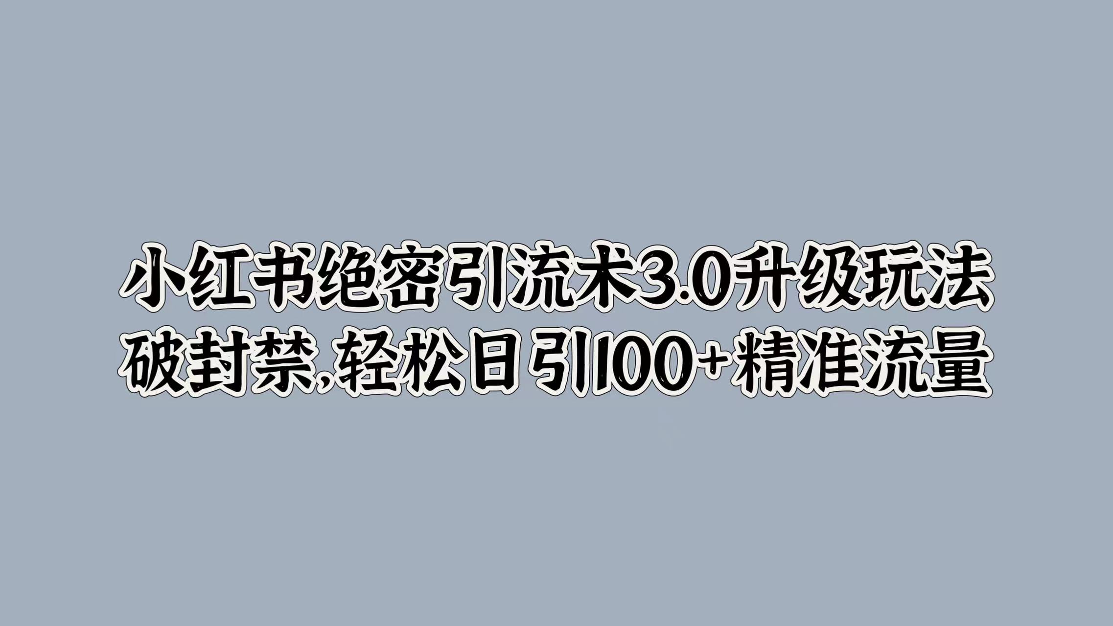 小红书绝密引流术3.0升级玩法，破封禁，轻松日引100+精准流量-网赚资源网