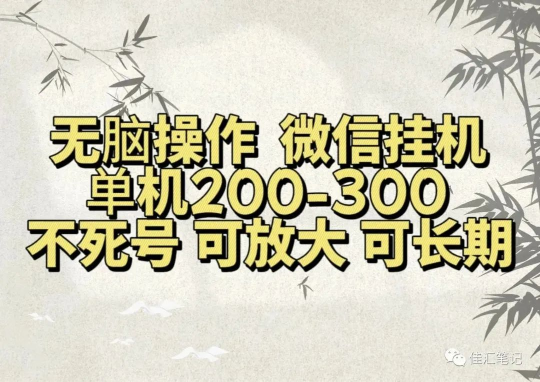 无脑操作微信视频号挂机单机200-300一天，不死号，可放大，工作室实测-网赚资源网