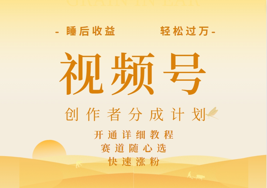 详解视频号创作者分成计划，暴力起号，可同步多平台，实现睡后收入2W+，看懂即可操作！-网赚资源网