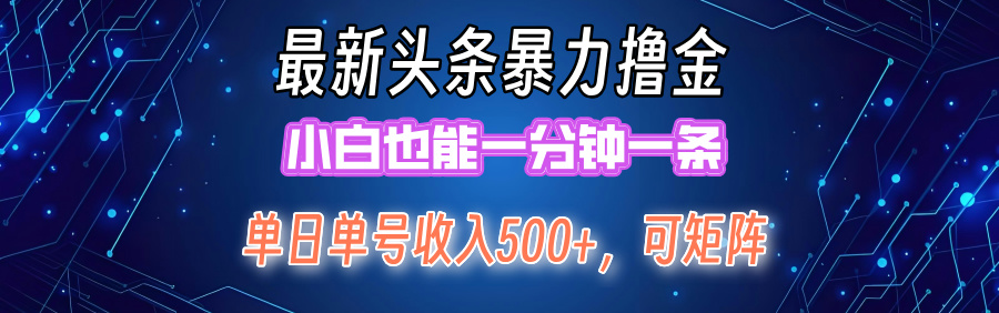 最新头条撸金，小白也能一分钟一条-网赚资源网