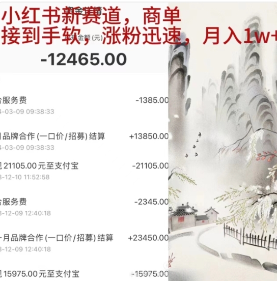 小红书新赛道，商单接到手软，涨粉迅速，一个月1w+-网赚资源网