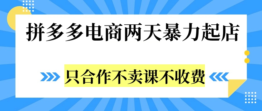 拼多多两天暴力起店，只合作不卖课不收费-网赚资源网