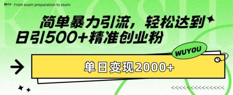 简单暴力引流轻松达到日引500+精准创业粉，单日变现2k【揭秘】-网赚资源网