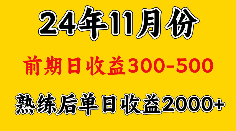 轻资产项目，前期日收益500左右，后期日收益1500-2000左右，多劳多得-网赚资源网