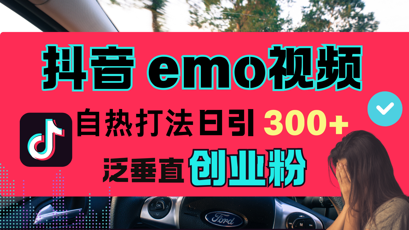 抖音“EMO视频”自热流打法，日引300+泛垂直创业粉-网赚资源网