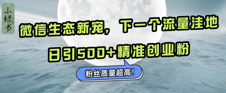 微信生态新宠小绿书：下一个流量洼地，粉丝质量超高，日引500+精准创业粉，-网赚资源网