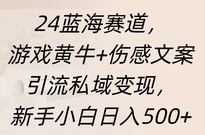 24蓝海赛道，游戏黄牛+伤感文案引流私域变现，新手日入500+-网赚资源网