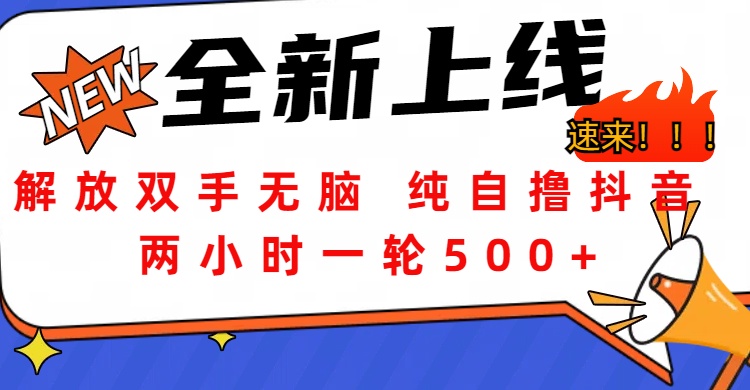 解放双手无脑 纯自撸抖音 两小时一轮500+-网赚资源网