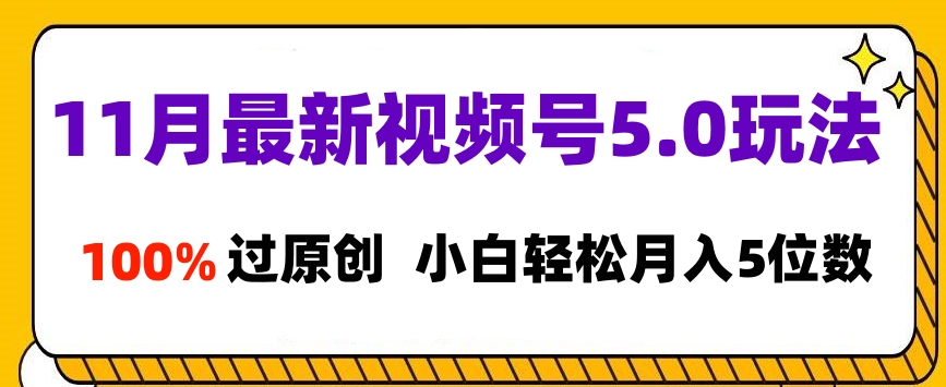 11月最新视频号5.0玩法，100%过原创，小白轻松月入5位数-网赚资源网