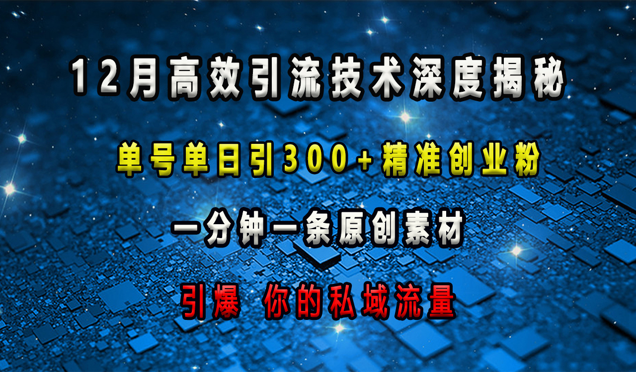12月高效引流技术深度揭秘 ，单号单日引300+精准创业粉，一分钟一条原创素材，引爆你的私域流量-网赚资源网