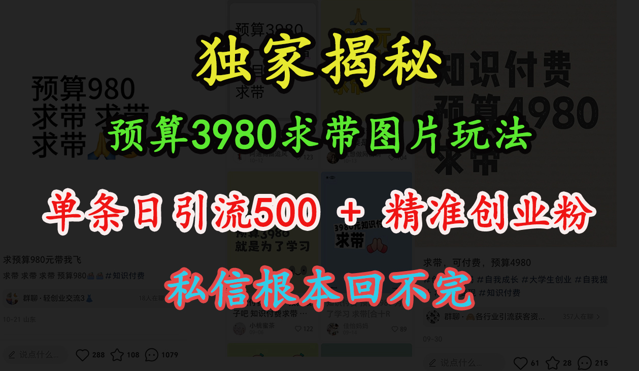 “小红书”预算3980求带 图片玩法，单条日引流500+精准创业粉，私信根本回不完-网赚资源网