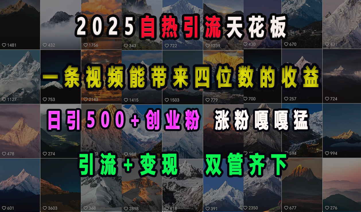 2025自热引流天花板，一条视频能带来四位数的收益，引流+变现双管齐下，日引500+创业粉，涨粉嘎嘎猛-网赚资源网