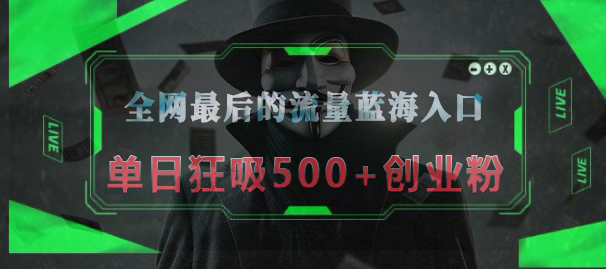 全网最后的流量蓝海入口，半小时引流50+创业粉，单日狂吸500+创业粉-网赚资源网