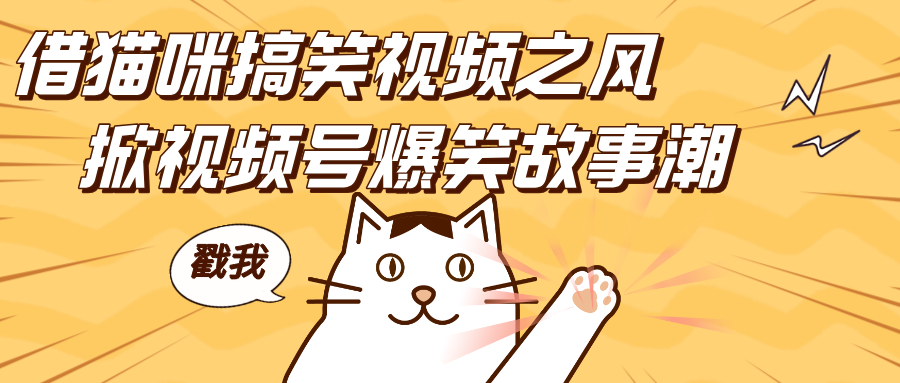 借猫咪搞笑视频之风，掀视频号爆笑故事潮，轻松日赚四位数，开启无门槛赚钱新体验！-网赚资源网