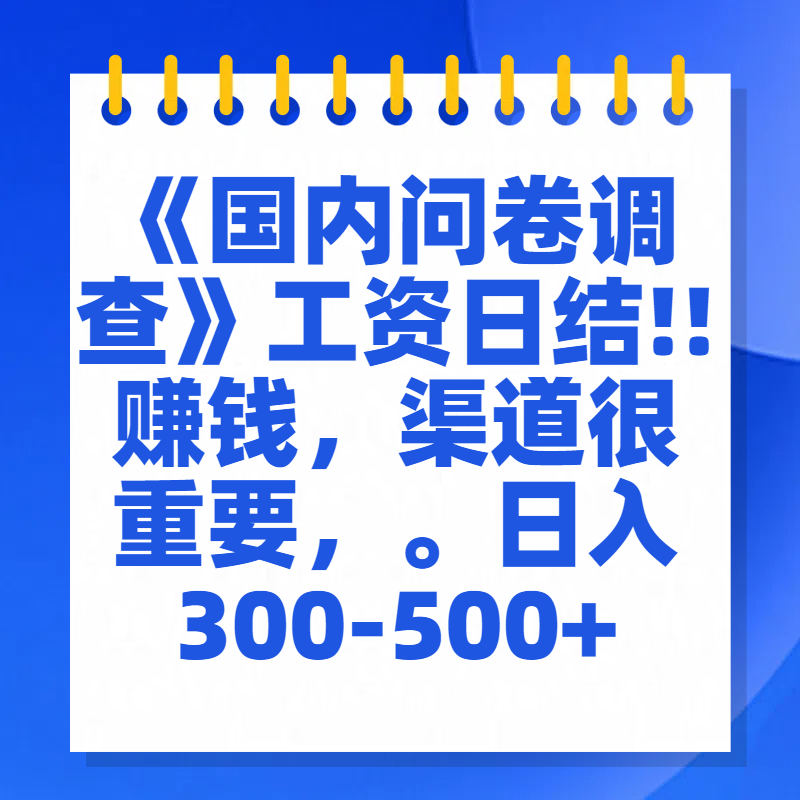 问卷调查答题，一个人在家也可以闷声发大财，小白一天2张，【揭秘】-网赚资源网