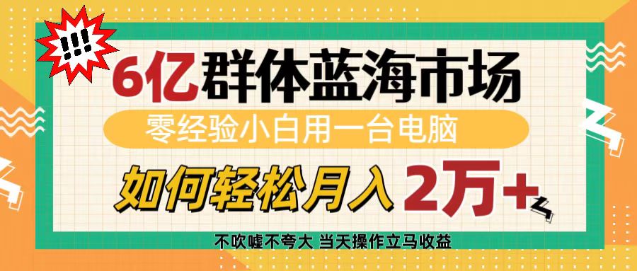 6亿群体蓝海市场，零经验小白用一台电脑，如何轻松月入2万+-网赚资源网
