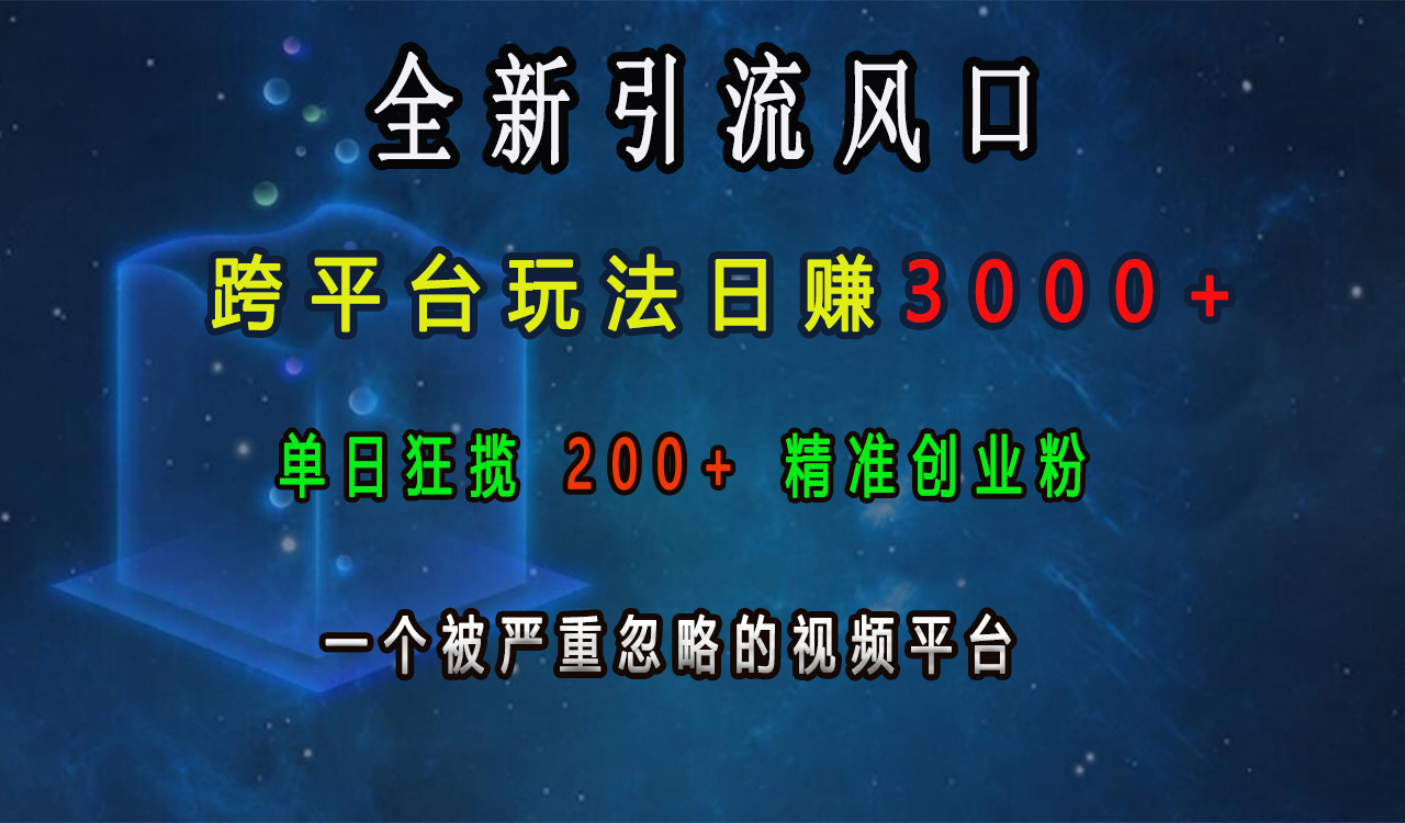 全新引流风口，跨平台玩法日赚3000+，单日狂揽200+精准创业粉，一个被严重忽略的视频平台-网赚资源网