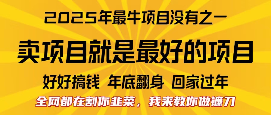全网都在割你韭菜，我来教你做镰刀。卖项目就是最好的项目，2025年最牛互联网项目-网赚资源网
