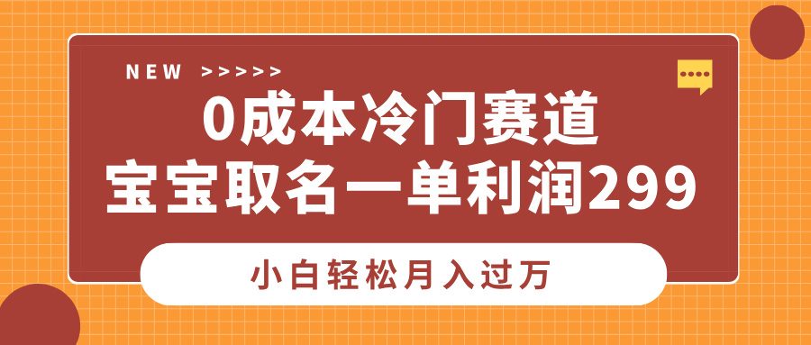 0成本冷门赛道，宝宝取名一单利润299，小白轻松月入过万-网赚资源网