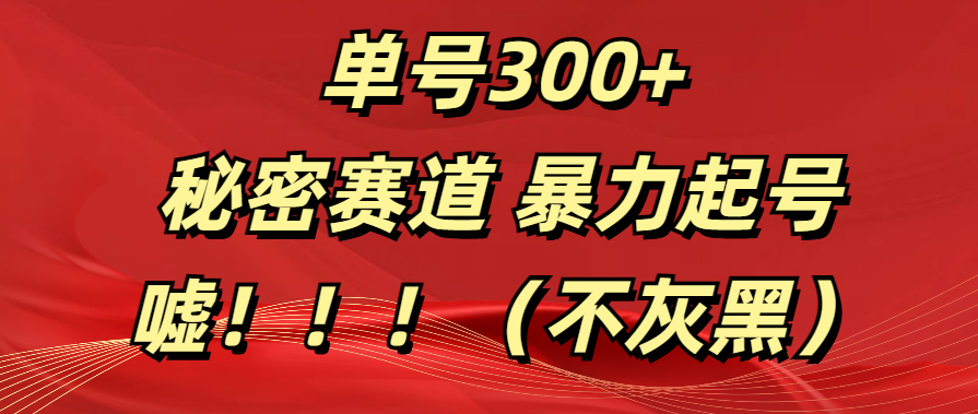 单号300+  秘密赛道 暴力起号  （不灰黑）-网赚资源网