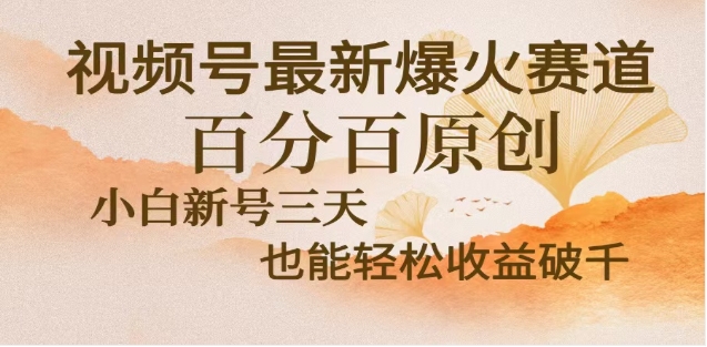 视频号独家玩法，老年养生赛道，无脑搬运爆款视频，日入2000+-网赚资源网