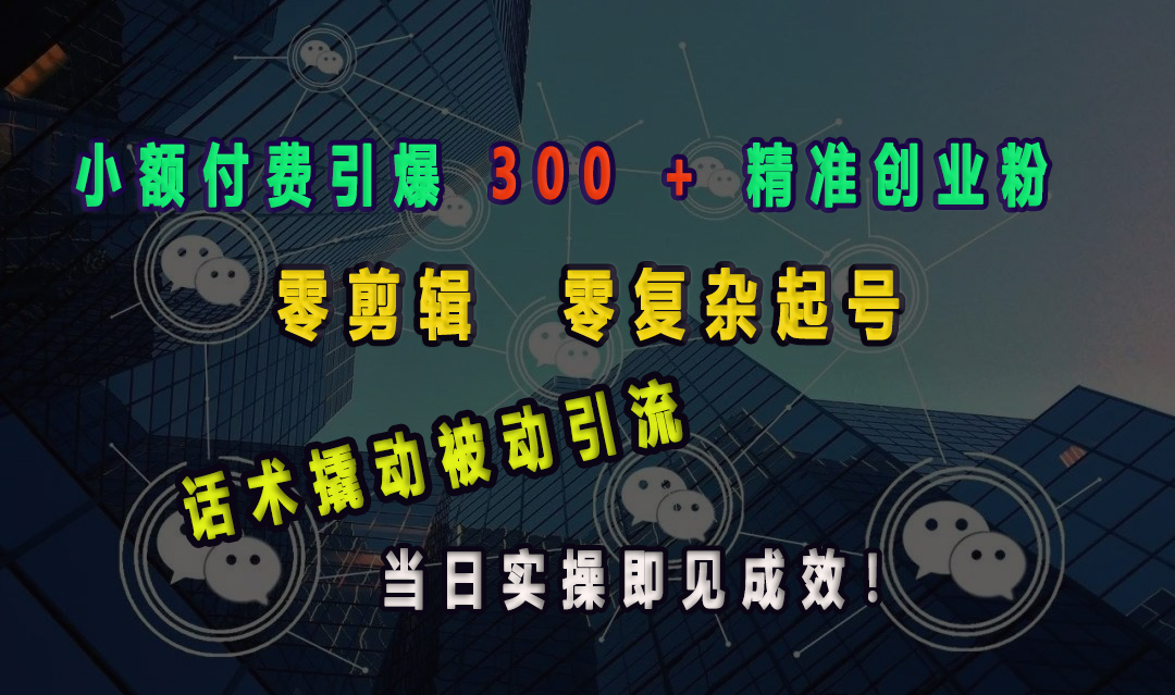 小额付费引爆 300 + 精准创业粉，零剪辑、零复杂起号，话术撬动被动引流，当日实操即见成效！-网赚资源网