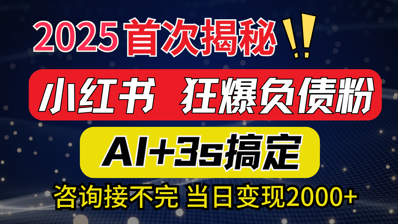 2025引流天花板：最新小红书狂暴负债粉思路，咨询接不断，当日入2000+-网赚资源网