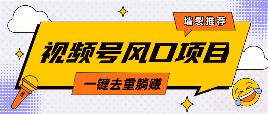 视频号风口蓝海项目，中老年人的流量密码，简单无脑，一键去重，轻松月入过万-网赚资源网