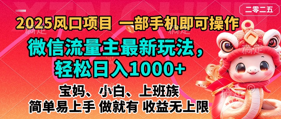 2025蓝海风口项目，微信流量主最新玩法，轻松日入1000+，简单易上手，做就有 收益无上限-网赚资源网