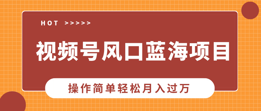 视频号风口蓝海项目，中老年人的流量密码，操作简单轻松月入过万-网赚资源网