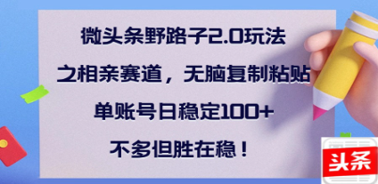 全网首发微头条野路子2.0玩法之相亲赛道，无脑搬砖复制粘贴，单账号日稳定300+保姆级教程-网赚资源网