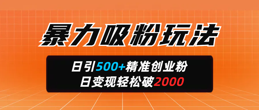 暴力吸粉玩法，日引500+精准创业粉，日变现轻松破2000-网赚资源网