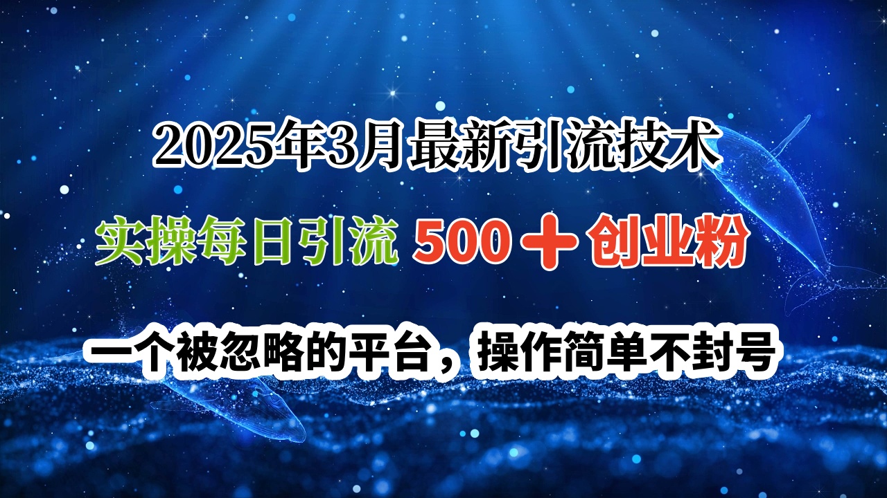 2025年3月最新引流技术，实操每日引流500➕创业粉，一个被忽略的平台，操作简单不封号-网赚资源网