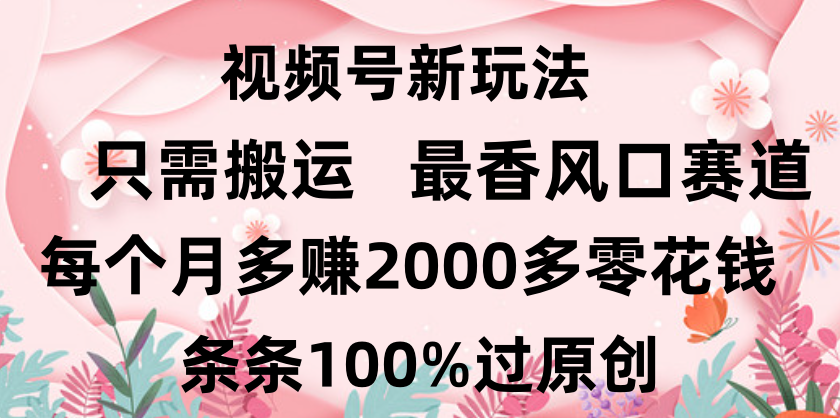 日入2000+，条条100%过原创，视频号最香风口赛道，小白轻松上手-网赚资源网