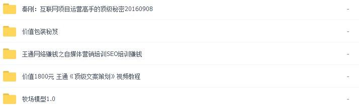 王通《顶级文案策划》课程培训 销售文案 SEO自媒体教程 微营销