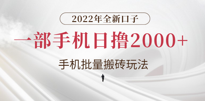 【副业项目3146期】2022年全新搬砖项目，手机批量搬运玩法，一部手机日撸1000+-网赚资源网