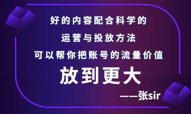 【副业项目3305期】（怎么投dou+快速涨粉）张sir账号流量增长课，让你的流量更精准-网赚资源网