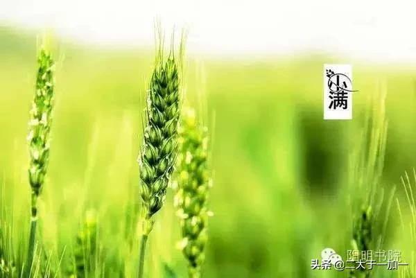 现代农民增加收入的出路——仍然是搞副业-网赚资源网