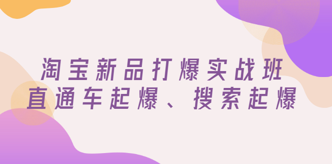 【副业项目3372期】淘宝新品打爆实战班（淘宝店铺如何增加流量和访客）-网赚资源网