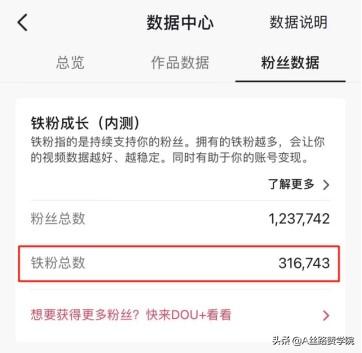 如何正确利用抖音流量池-网赚资源网