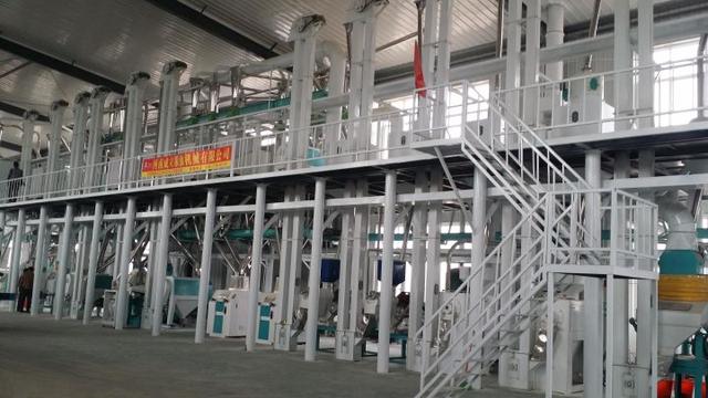 五十吨玉米深加工项目赚钱吗？小型玉米深加工项目有哪些？-网赚资源网