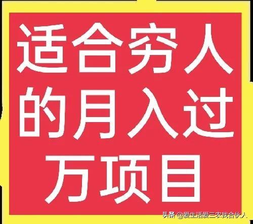 适合农村人做的赚钱项目（在农村做什么项目好）-网赚资源网