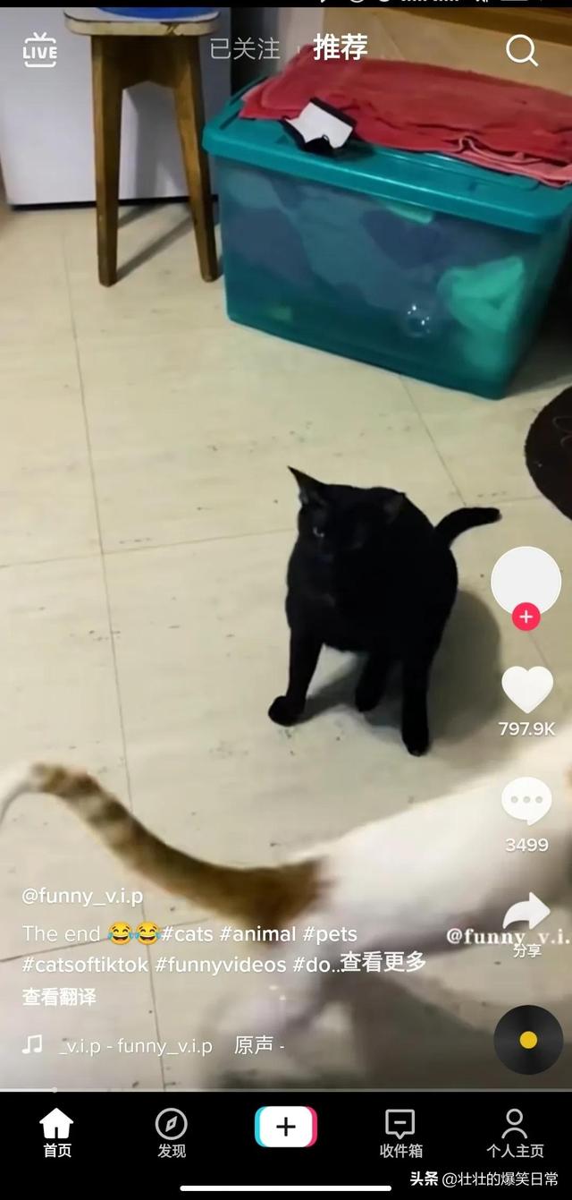如何使用海外版抖音（国内怎样使用tiktok）-网赚资源网