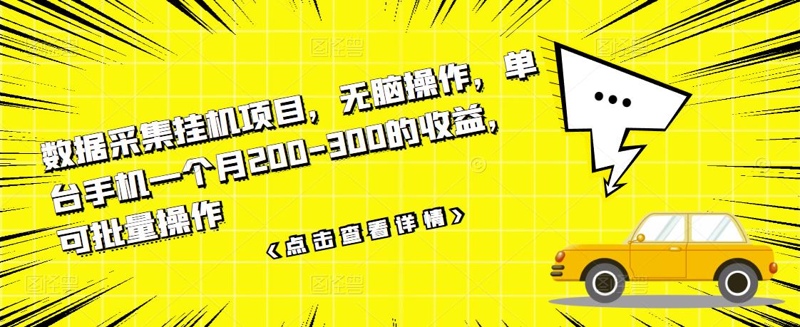 【副业项目3611期】数据采集挂机项目（手机上挣钱的副业）-网赚资源网