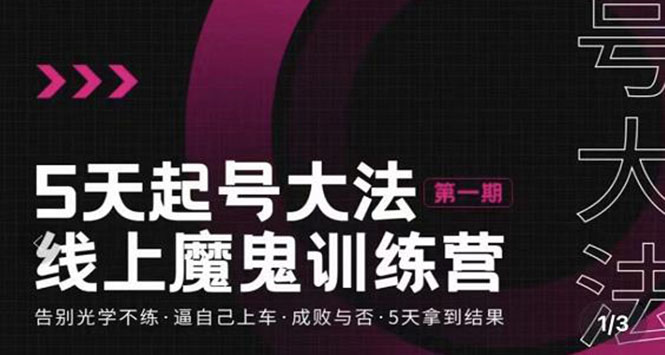【副业项目3626期】五天起号魔鬼训练营，告别光学不练，逼自己上车，成败与否，5天拿到结果-网赚资源网