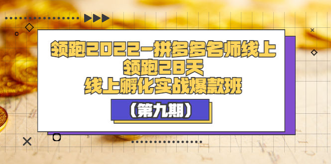 【副业项目3821期】拼多多名师线上领跑28天，拼多多线上孵化实操爆款班（第九期）-网赚资源网