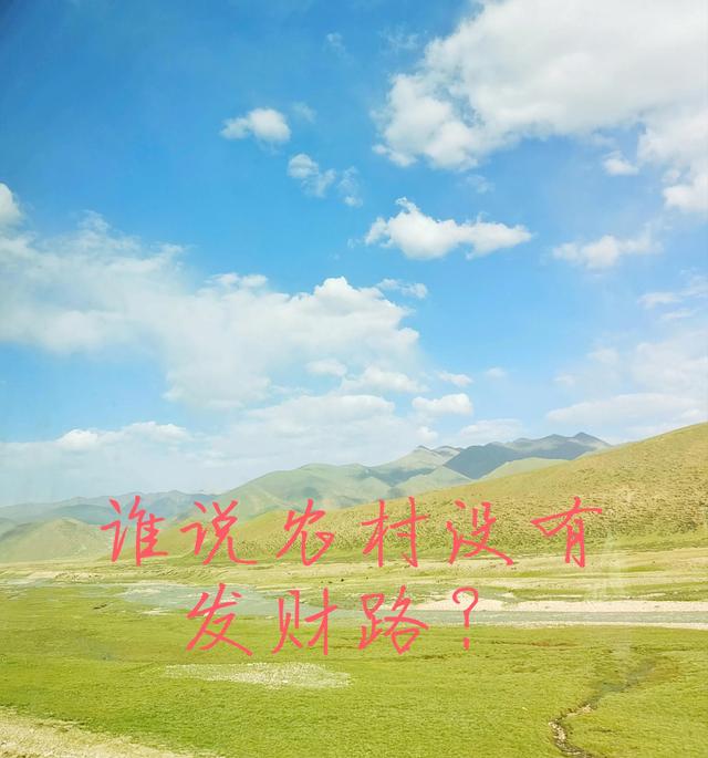 农村闷声发大财的生意，加工玉米芯致富-网赚资源网