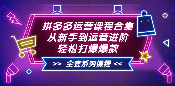 【副业项目3861期】拼多多运营课程合集：从新手到运营进阶，拼多多新手开店教程视频-网赚资源网