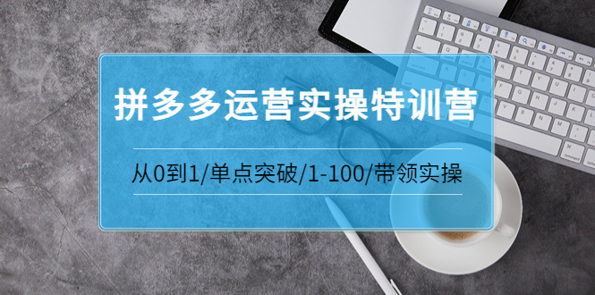 【副业项目3863期】拼多多运营实操特训营：拼多多直通车进阶优化技巧，拼多多如何操作利润最大化-网赚资源网